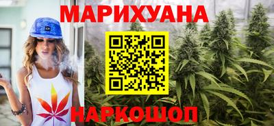 индика Обь
