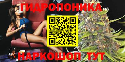 индика Обь